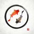 Fly Fishing for Trout: Regional Strategies for Each Trout Species