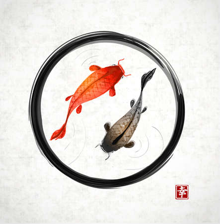 Fly Fishing for Trout: Regional Strategies for Each Trout Species