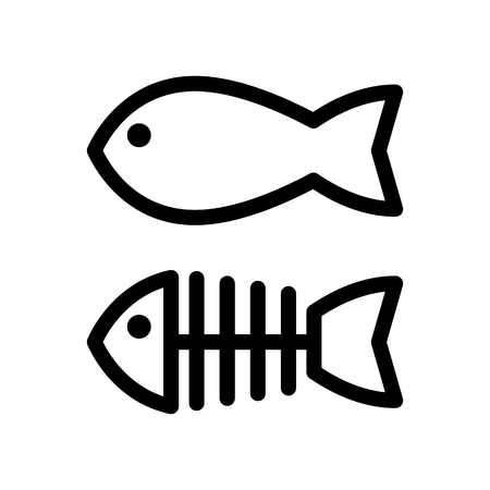 Best Practices for Responsible Fishing