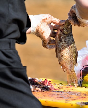 Big Bass Country: Lakes in the South That Produce Trophy Catches