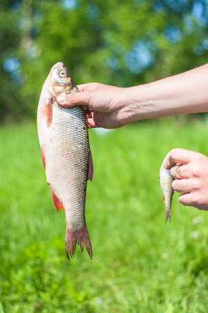 Native vs. Invasive Species: The Environmental Responsibilities of U.S. Anglers