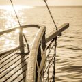 From Bank to Boat: Essential Gear for Different Types of Fishing Locations