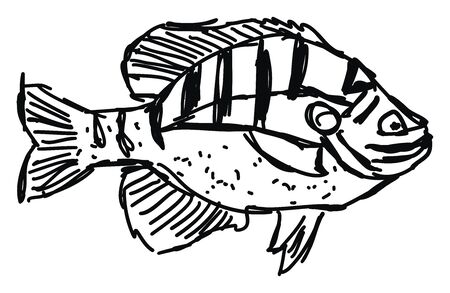 Target Species: Redfish and Speckled Trout