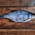 How to Legally Fish in Virginia: License Types, Fishing Seasons, and Ethical Conduct