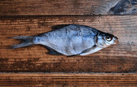 How to Legally Fish in Virginia: License Types, Fishing Seasons, and Ethical Conduct