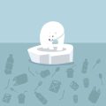 Ice Fishing in Upstate New York: From the Adirondacks to Oneida Lake