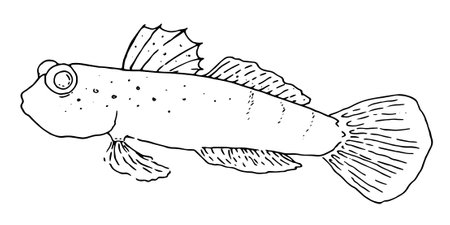 Best U.S. States for Trophy Northern Pike and Muskie Fishing