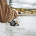 Topwater Action: Catching Spring Bass with Surface Lures