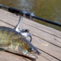 Fishing Heavy Cover with a Baitcaster: Tips and Techniques for Success