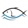 Mississippi’s Gulf Coast: An Overlooked Saltwater Haven for Anglers