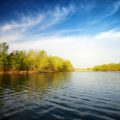 Influence of Water Temperature and Depth on Catch and Release Success