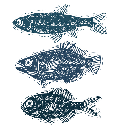 Targeting Popular U.S. Species