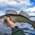 Fly Fishing Gear 101: What Every New Angler Needs to Get Started