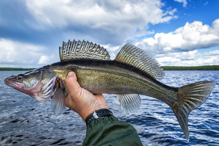 Fly Fishing Gear 101: What Every New Angler Needs to Get Started