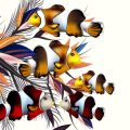 Advanced Jigging Techniques for Deep-Water Crappie
