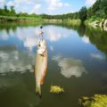 Weather Patterns and Their Effects on Fall Fishing Success