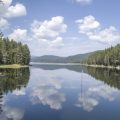 Public Access Lakes for Prime Bass Fishing Across the U.S.