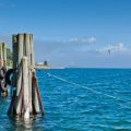 Pacific Northwest Saltwater Fishing: Washington and Oregon Coastlines