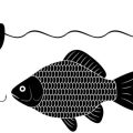 Crankbaits Explained: How to Choose, Retrieve, and Match to Conditions