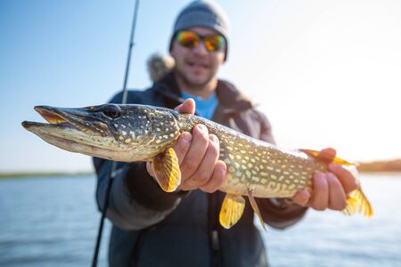Top 10 Lures for Northern Pike and Muskie: Proven Picks by Pro Anglers