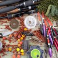The Best Fishing Reels for Trout Anglers in America: Fly, Spinning & More