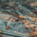 The Economics of Charter Fishing: What You’re Really Paying For