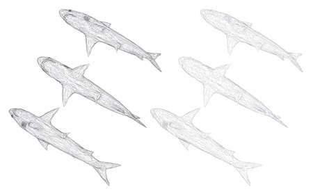 Northeast: Tactics for Hardwater Trout and Panfish