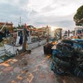 Understanding Fishing Regulations and Conservation as a Beginner