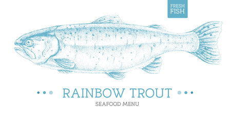Brook Trout: America’s Native Char