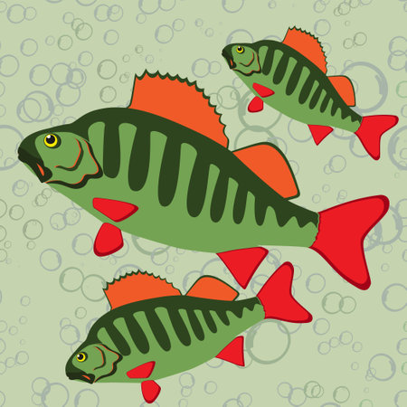 Interpreting Your Sonar Screen Like a Pro