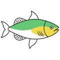 Trout Identification 101: Key Differences Between Rainbow, Brook, and Brown Trout