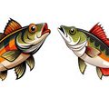 Boat vs. Shore Walleye Fishing: Pros, Cons, and How to Succeed at Both
