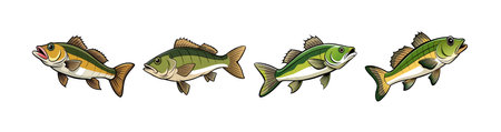 Best High-End Fishing Rods for Serious Anglers