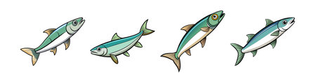 Cross-Cultural Ethics and Legal Compliance Among Immigrant Anglers