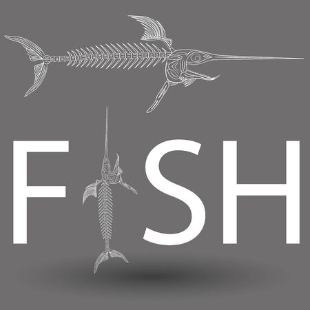 Top High-End Rod Brands on the Market