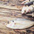 Kayak Fishing for Panfish: The Ultimate Lightweight Fishing Adventure
