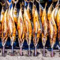 Using Live Bait vs. Prepared Baits for Catfish: Pros, Cons, and Best Practices