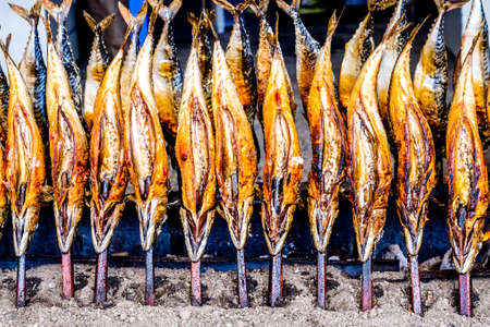 Using Live Bait vs. Prepared Baits for Catfish: Pros, Cons, and Best Practices