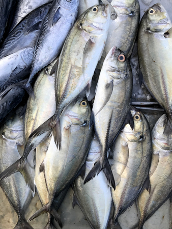 Tackle Box Organization for Saltwater Fishing: Gear, Tools & Storage Hacks