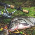 Seasonal Restrictions and Closures: Understanding When and Where Fishing Is Banned