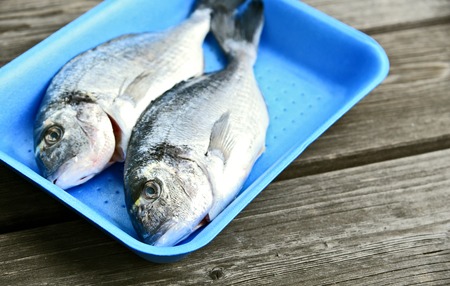 How to Choose the Right Fishing Reel for Beginners: A Comprehensive US Buyer’s Guide