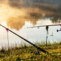 Weather and Moon Phase Influence on Summer Fishing Conditions