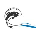 How to Obtain and Use a Fishing License in North Carolina: Rules, Fees, and Ethics