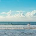 Surf Fishing Success in the Summer: Tips from Coastal Experts
