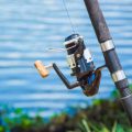 Best Baitcasting Rods in 2025: Expert Picks and Reviews