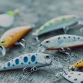 Matching the Hatch in America: Regional Baitfish and Insect Patterns That Work