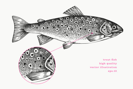 Water Temperature: A Key Factor