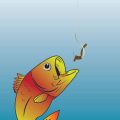 How to Properly Handle Fish for Ethical Catch and Release