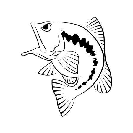 Locating Hotspots: Where Fish Hide in Winter
