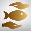 The Science Behind Fishing Limits: Sustainable Practices in Action